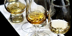 WSET Level 2 Award in Wines & Sprirts �^�긲��s�P�P�s�Ш|����|����s�{�ҤG��