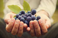 �Ͱs�v������<