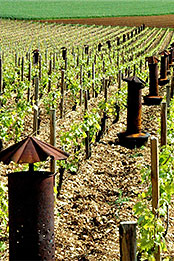 BIVB�k�ꥬ�ڦa���|�{�ҽҵ{