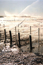 BIVB�k�ꥬ�ڦa���|�{�ҽҵ{