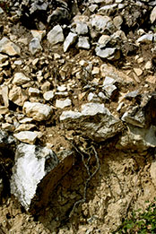 BIVB�k�ꥬ�ڦa���|�{�ҽҵ{