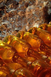 �I���QTokaji���հs���y