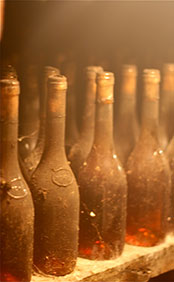 �I���QTokaji���հs���y