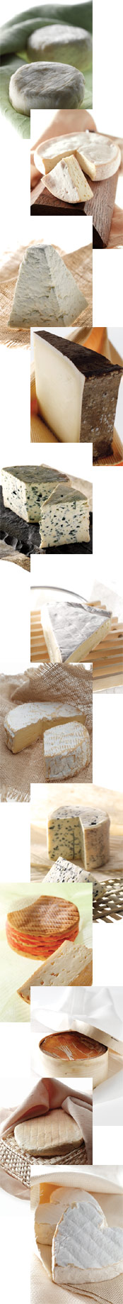 ����s���Ĥ@��Ңw���s�챴